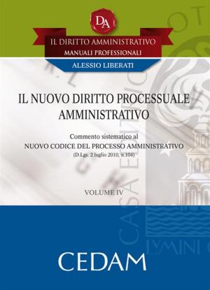 Cover of Il nuovo diritto processuale amministrativo