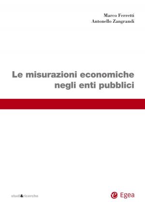 Book cover of Le misurazioni economiche negli enti pubblici
