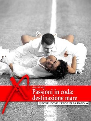 Cover of the book Passioni in coda, destinazione mare by AA. VV.