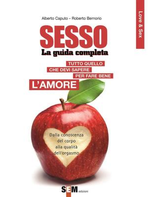 Book cover of Sesso, la guida completa - Tutto quello che devi sapere per far bene l’amore