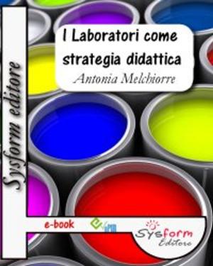 Cover of the book I Laboratori come strategia didattica by John Shufeldt