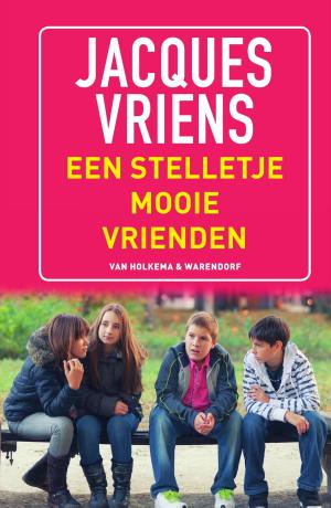 Book cover of Een stelletje mooie vrienden