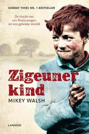 Book cover of Zigeunerkind