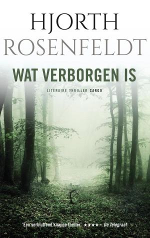 Cover of the book Wat verborgen is by David Vann