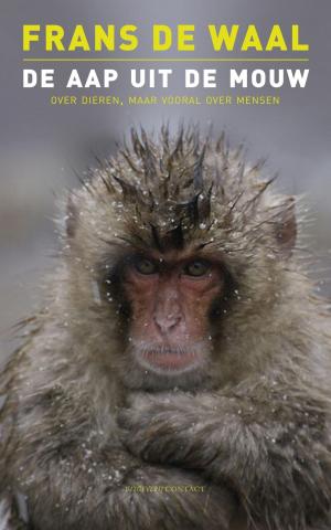 Cover of the book De aap uit de mouw by Nelleke Noordervliet