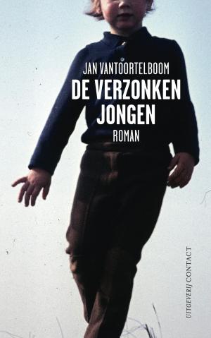 Cover of the book De verzonken jongen by Menno Lanting