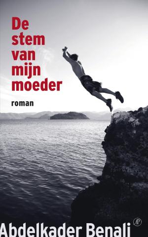 Cover of the book De stem van mijn moeder by Rutger Vahl