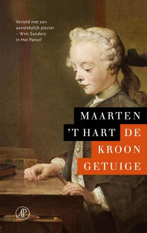 Cover of the book De kroongetuige by Toon Tellegen