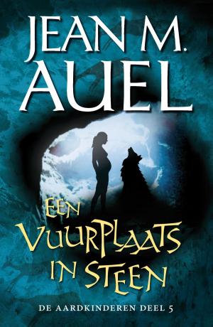 Cover of the book Een vuurplaats in steen by Ann Cleeves