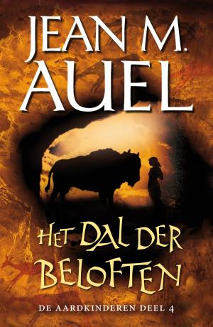 Cover of the book Het dal der beloften by Havank