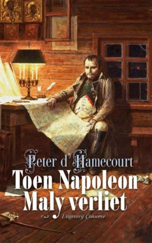 Cover of the book Toen Napoleon Maly verliet by Gerda van Wageningen