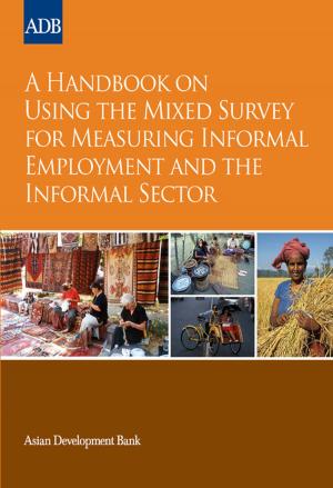Book cover of A Handbook on Using the Mixed Survey for Measuring Informal Employment and the Informal Sector