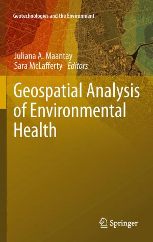 Cover of the book Geospatial Analysis of Environmental Health by J. C. Jaeger