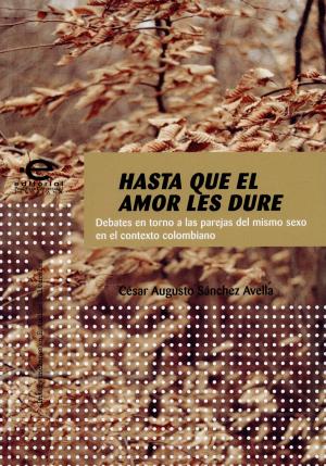 Cover of the book Hasta que el amor les dure by Santiago, Castro Gómez