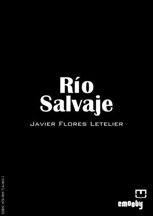 Cover of the book Río Salvaje by ENRIQUE ABRAHAM EPELBON