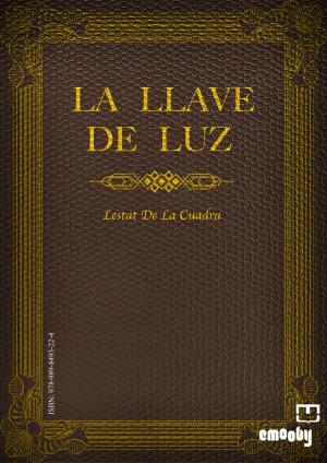 Cover of the book La Llave De Luz by Naudín Gracián Petro