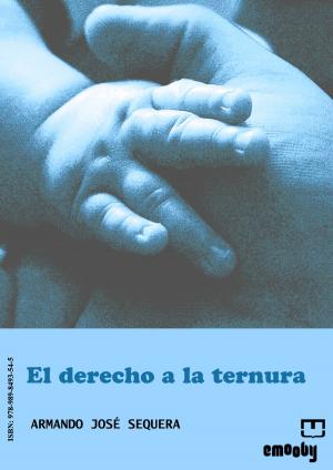 Cover of the book El Derecho A La Ternura by Pepa Ortiz Moreno
