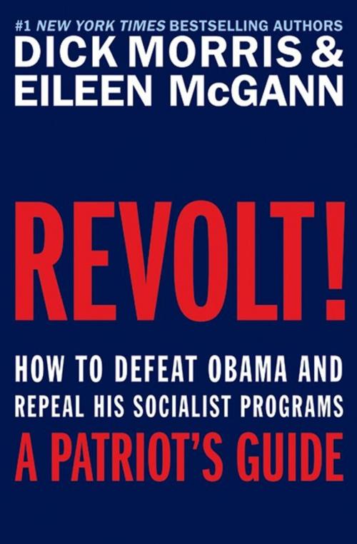 Cover of the book Revolt! by Dick Morris, Eileen McGann, HarperCollins e-books
