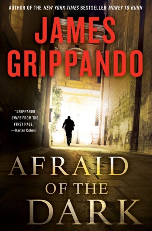 Cover of the book Afraid of the Dark by James Grippando, HarperCollins e-books