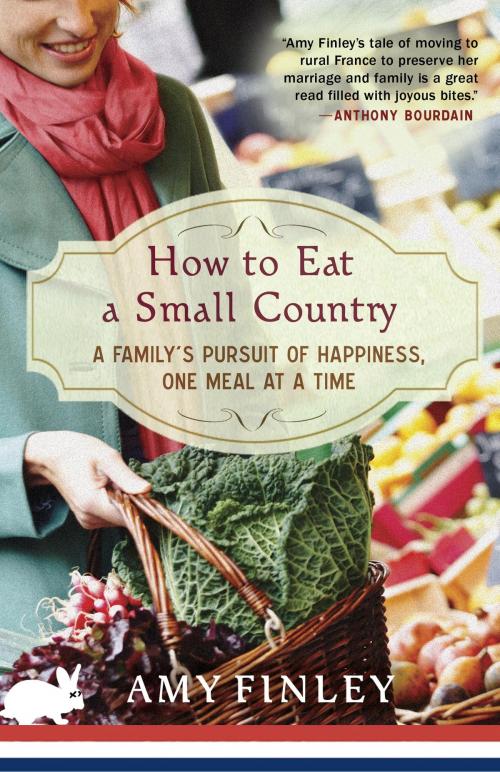 Cover of the book How to Eat a Small Country by Amy Finley, Crown/Archetype