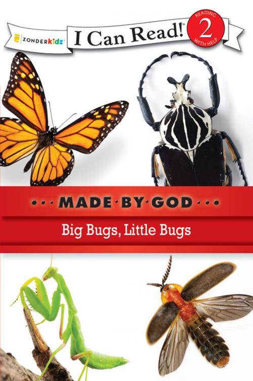 Cover of the book Big Bugs, Little Bugs by Zondervan, Zonderkidz