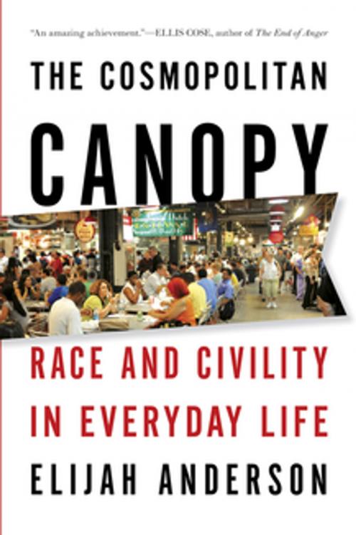 Cover of the book The Cosmopolitan Canopy: Race and Civility in Everyday Life by Elijah Anderson, W. W. Norton & Company