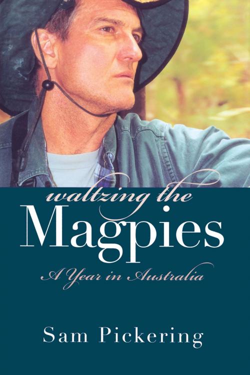 Cover of the book Waltzing the Magpies by Sam Pickering, University of Michigan Press