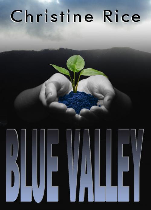 Cover of the book Blue Valley by CD Reiss, CD Reiss