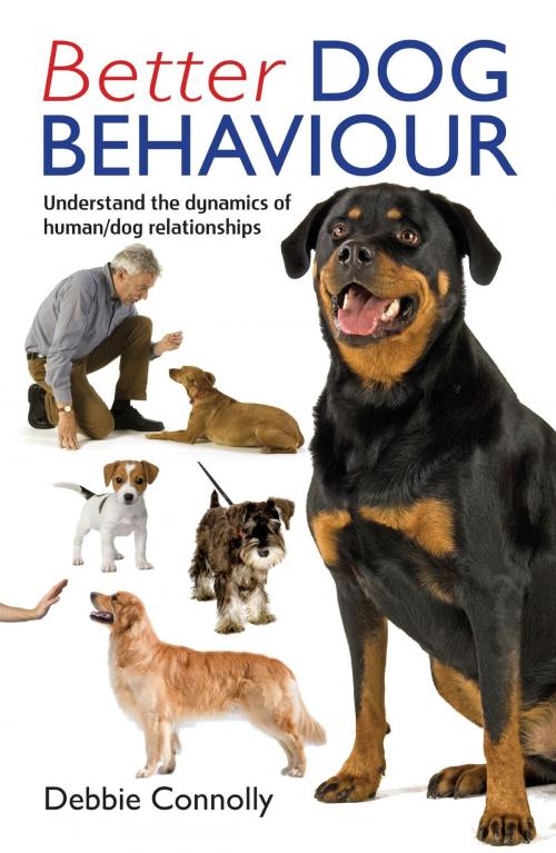 Cover of the book Better Dog Behaviour by Debbie Connolly, Little, Brown Book Group