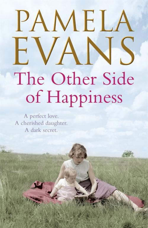 Cover of the book The Other Side of Happiness by Pamela Evans, Headline