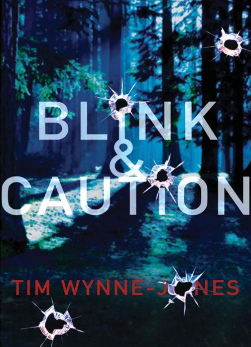 Cover of the book Blink & Caution by Tim Wynne-Jones, Candlewick Press