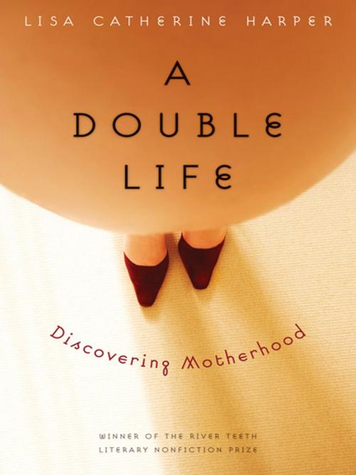 Cover of the book A Double Life by Lisa Catherine Harper, UNP - Bison Original
