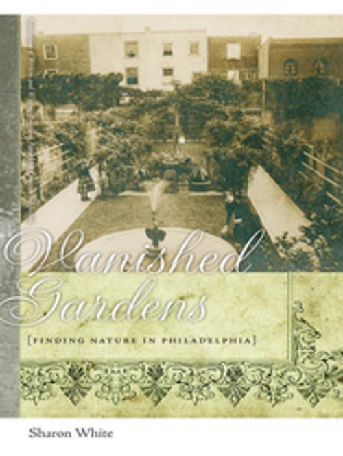 Cover of the book Vanished Gardens by Sharon White, University of Georgia Press