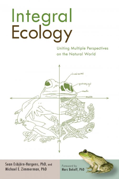 Cover of the book Integral Ecology by Sean Esbjorn-Hargens, Ph.D., Michael E. Zimmerman, Ph.D., Shambhala