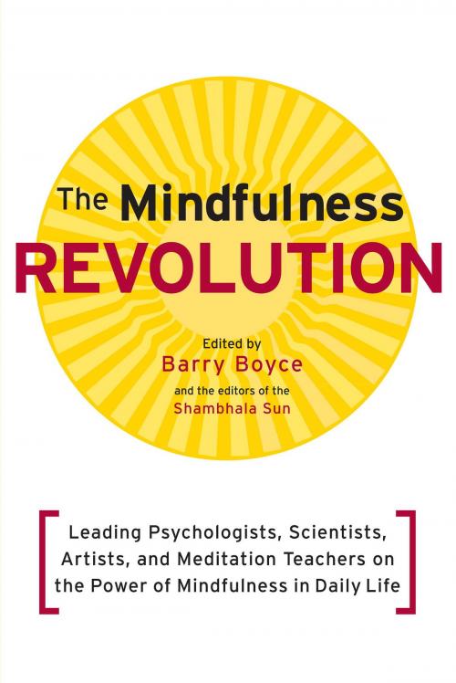 Cover of the book The Mindfulness Revolution by Jon Kabat-Zinn, Daniel Siegel, Thich Nhat Hanh, Jack Kornfield, Shambhala