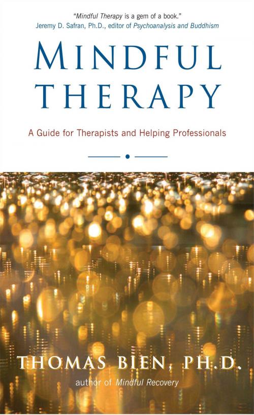 Cover of the book Mindful Therapy by Thomas Bien, Ph.D., Wisdom Publications