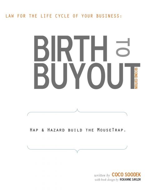 Cover of the book Birth to Buyout by Coco Soodek, Profit and Laws Press