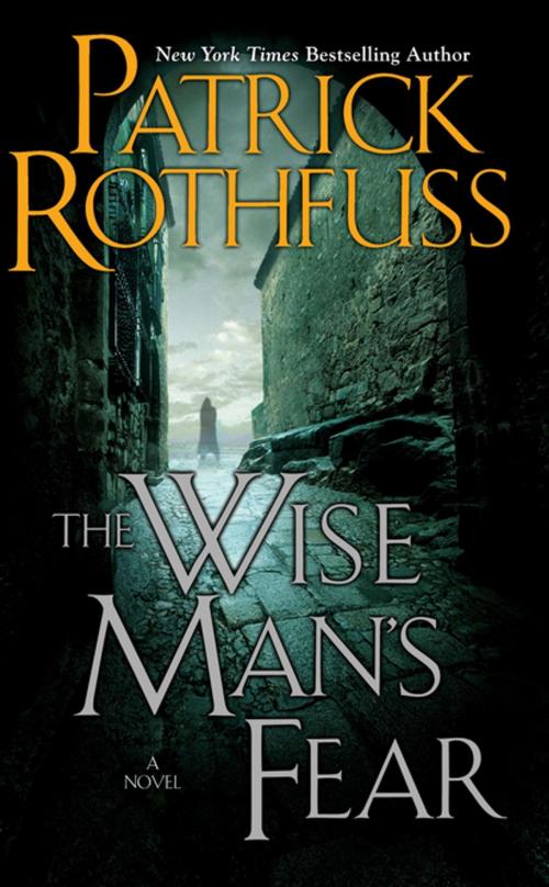 Cover of the book The Wise Man's Fear by Patrick Rothfuss, DAW