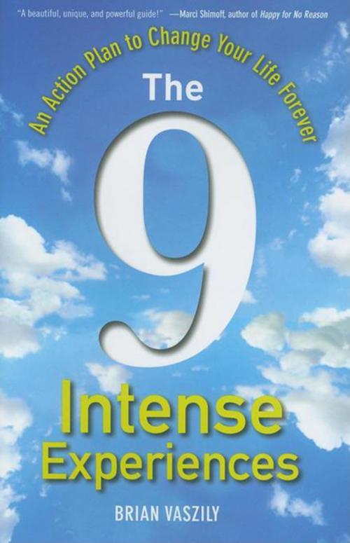 Cover of the book The 9 Intense Experiences by Brian Vaszily, Turner Publishing Co.