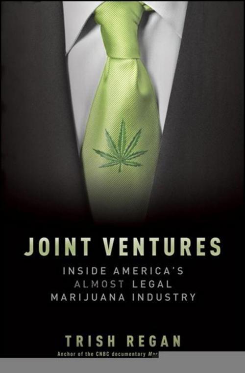 Cover of the book Joint Ventures by Trish Regan, Turner Publishing Co.
