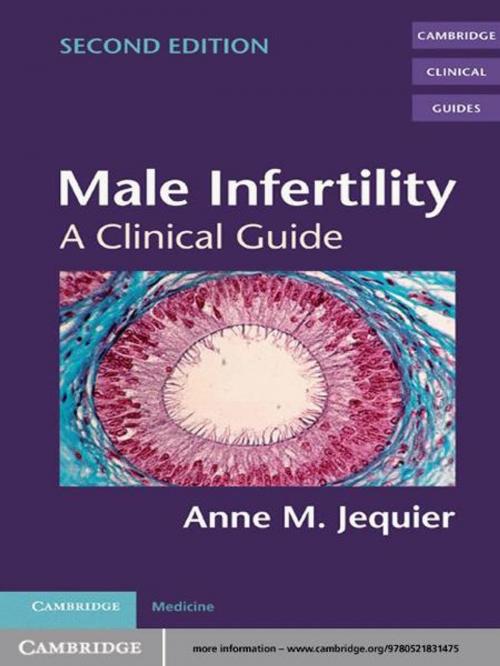 Cover of the book Male Infertility by Anne M. Jequier, Cambridge University Press