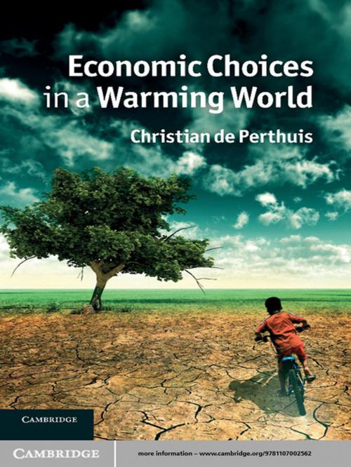 Cover of the book Economic Choices in a Warming World by Christian de Perthuis, Cambridge University Press