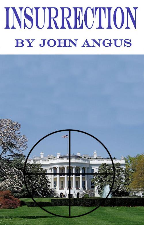 Cover of the book Insurrection by John Angus, John Angus