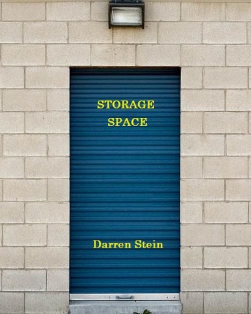 Cover of the book Storage Space: A Collection Of Contemporary Poetry by Darren Stein, Darren Stein