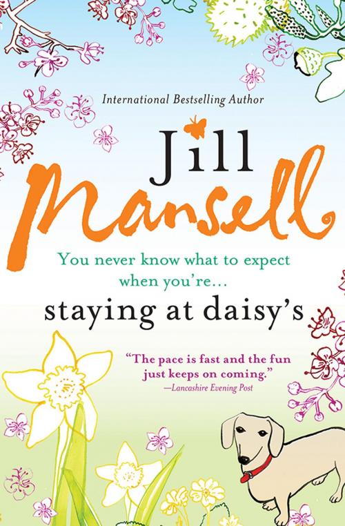 Cover of the book Staying at Daisy's by Jill Mansell, Sourcebooks