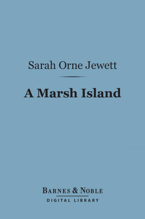 Cover of the book A Marsh Island (Barnes & Noble Digital Library) by Sarah Orne Jewett, Barnes & Noble