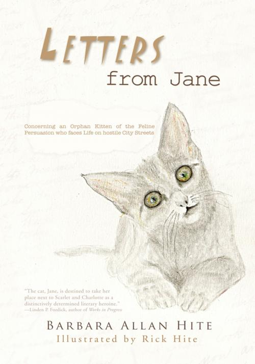 Cover of the book Letters from Jane by Barbara Allan Hite, Trafford Publishing