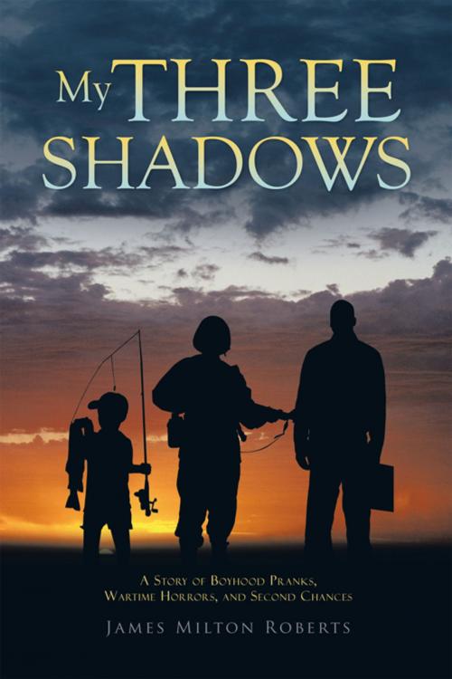 Cover of the book My Three Shadows by James Milton Roberts, Trafford Publishing