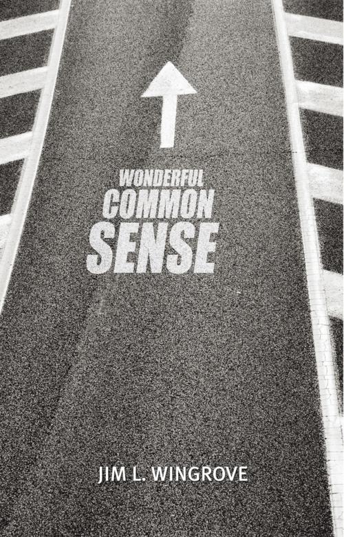 Cover of the book Wonderful Common Sense by Jim L. Wingrove, Trafford Publishing