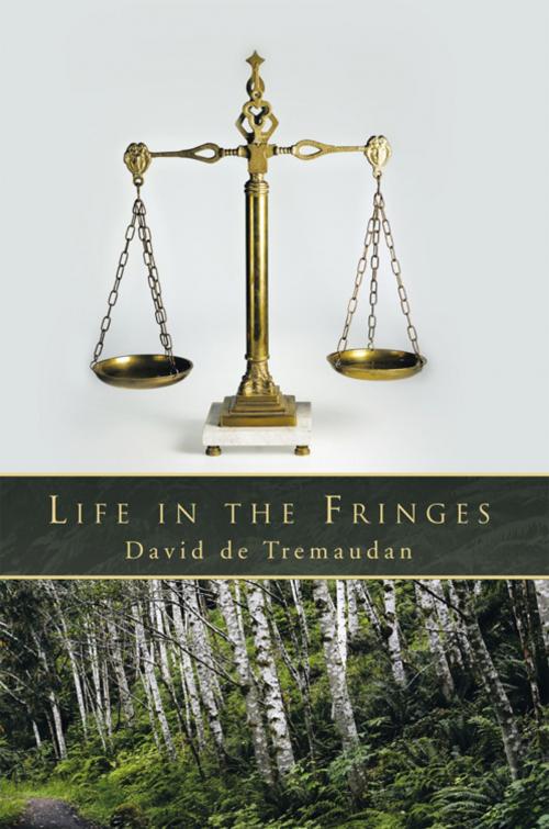 Cover of the book Life in the Fringes by David de Tremaudan, Trafford Publishing